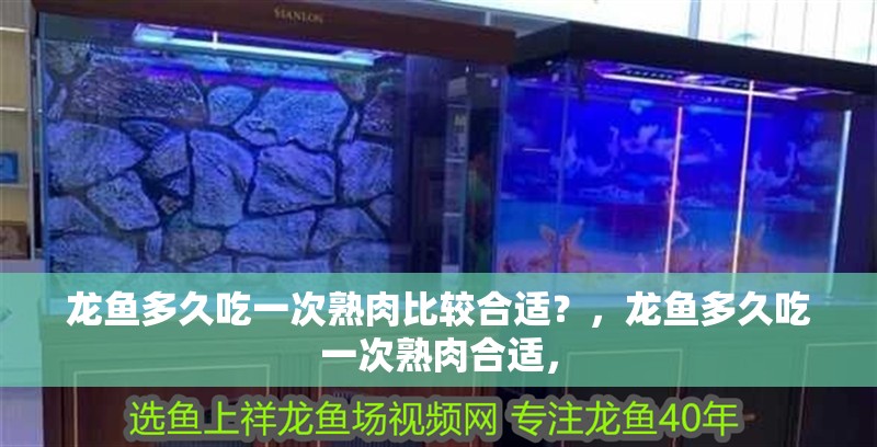 龍魚多久吃一次熟肉比較合適？，龍魚多久吃一次熟肉合適，