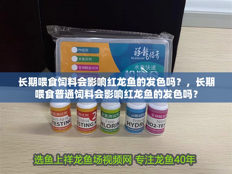 長期喂食飼料會影響紅龍魚的發色嗎？，長期喂食普通飼料會影響紅龍魚的發色嗎？