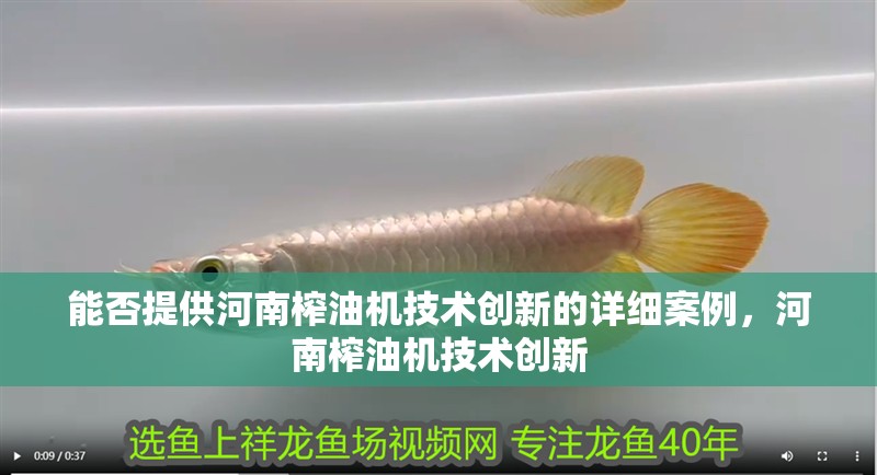 能否提供河南榨油機(jī)技術(shù)創(chuàng)新的詳細(xì)案例，河南榨油機(jī)技術(shù)創(chuàng)新