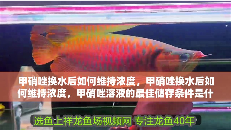 甲硝唑換水后如何維持濃度，甲硝唑換水后如何維持濃度，甲硝唑溶液的最佳儲存條件是什么