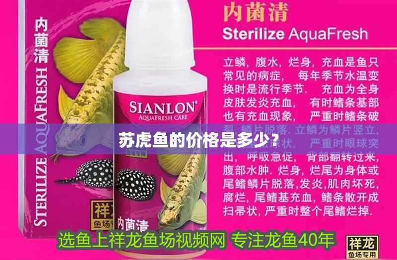 蘇虎魚的價格是多少？