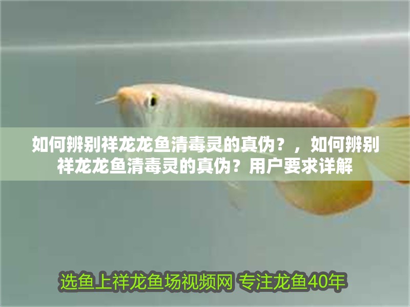 如何辨別祥龍龍魚清毒靈的真偽？，如何辨別祥龍龍魚清毒靈的真偽？用戶要求詳解