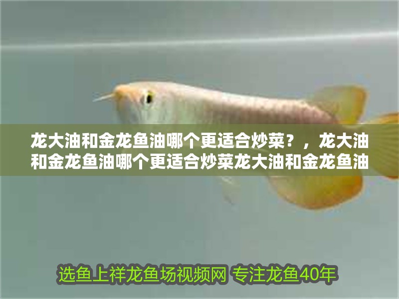 龍大油和金龍魚油哪個更適合炒菜？，龍大油和金龍魚油哪個更適合炒菜龍大油和金龍魚油哪個更健康