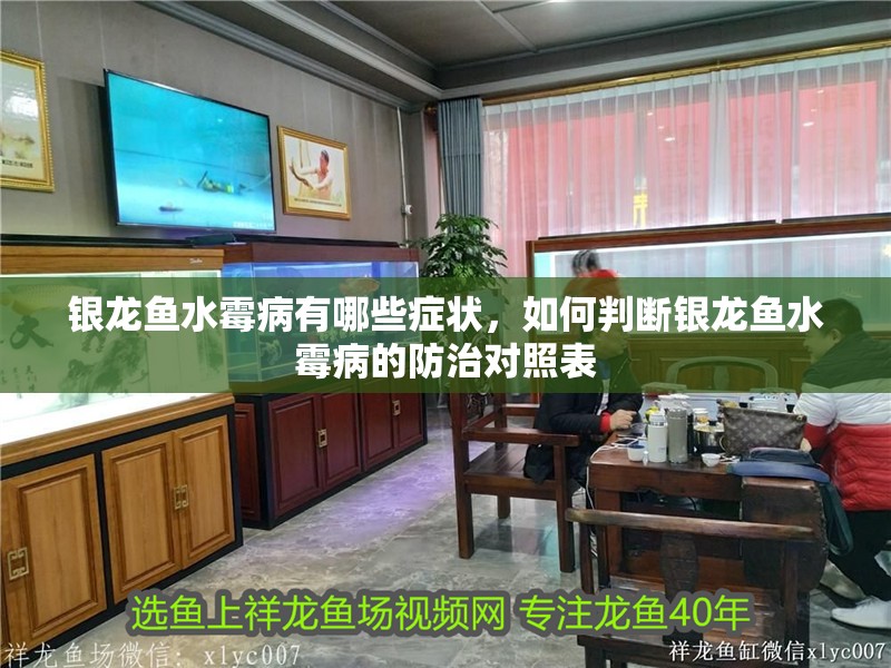 銀龍魚水霉病有哪些癥狀，如何判斷銀龍魚水霉病的防治對照表