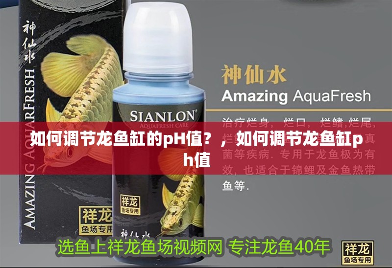 如何調節龍魚缸的pH值？，如何調節龍魚缸ph值