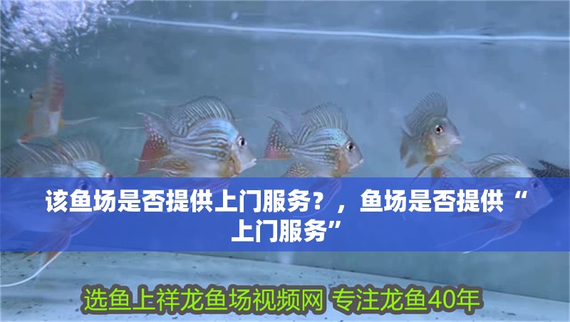 該魚場是否提供上門服務(wù)？，魚場是否提供“上門服務(wù)”