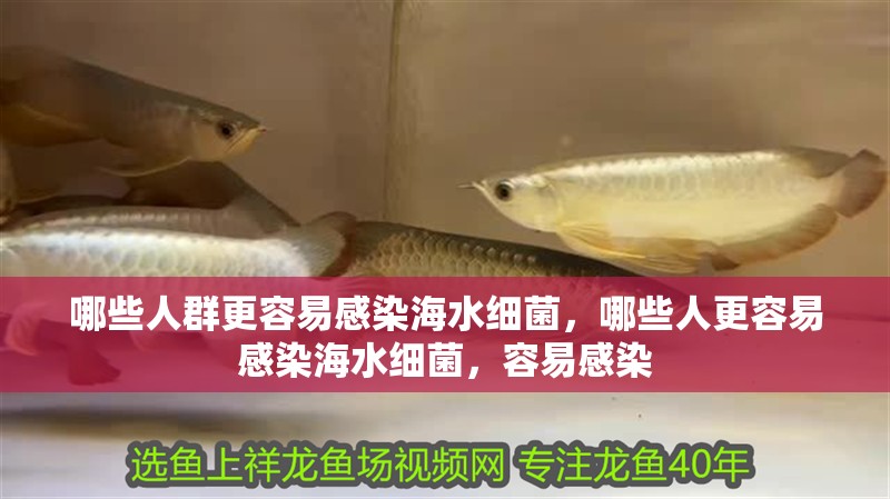 哪些人群更容易感染海水細菌，哪些人更容易感染海水細菌，容易感染