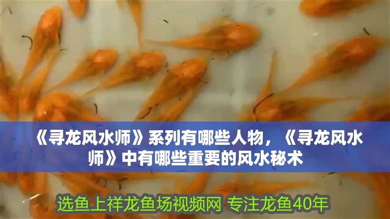 《尋龍風水師》系列有哪些人物，《尋龍風水師》中有哪些重要的風水秘術