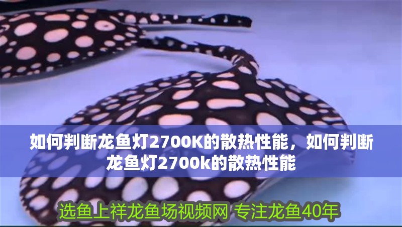如何判斷龍魚燈2700K的散熱性能，如何判斷龍魚燈2700k的散熱性能