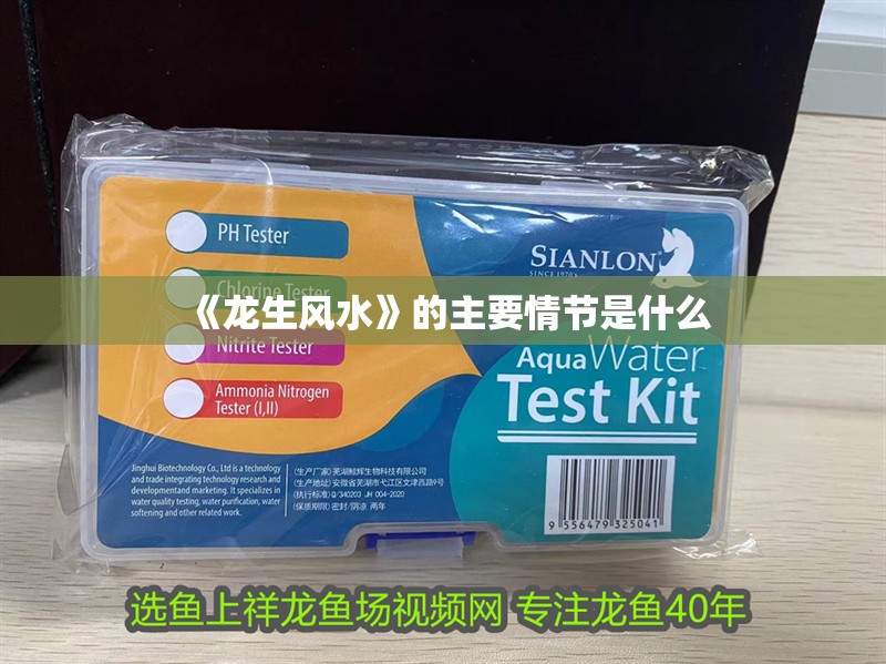 《龍生風(fēng)水》的主要情節(jié)是什么