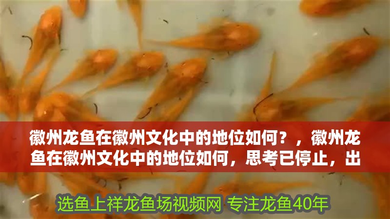 徽州龍魚在徽州文化中的地位如何？，徽州龍魚在徽州文化中的地位如何，思考已停止，出了點小問題