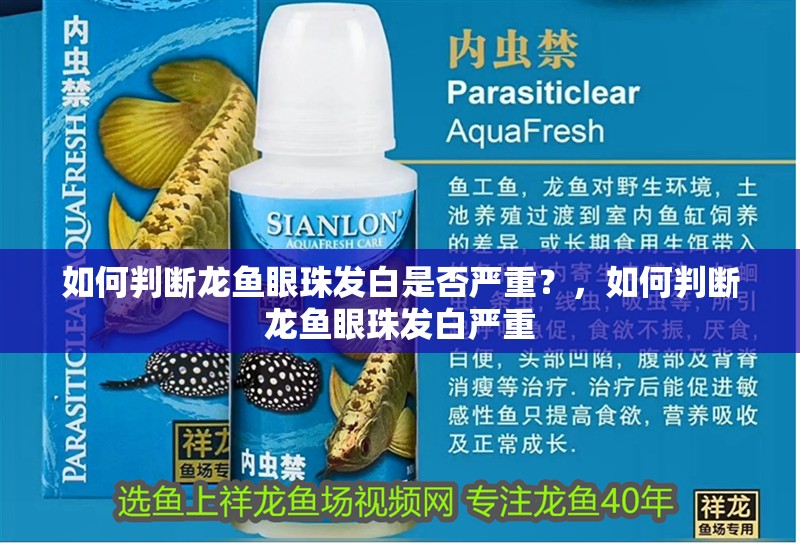 如何判斷龍魚眼珠發(fā)白是否嚴(yán)重？，如何判斷龍魚眼珠發(fā)白嚴(yán)重