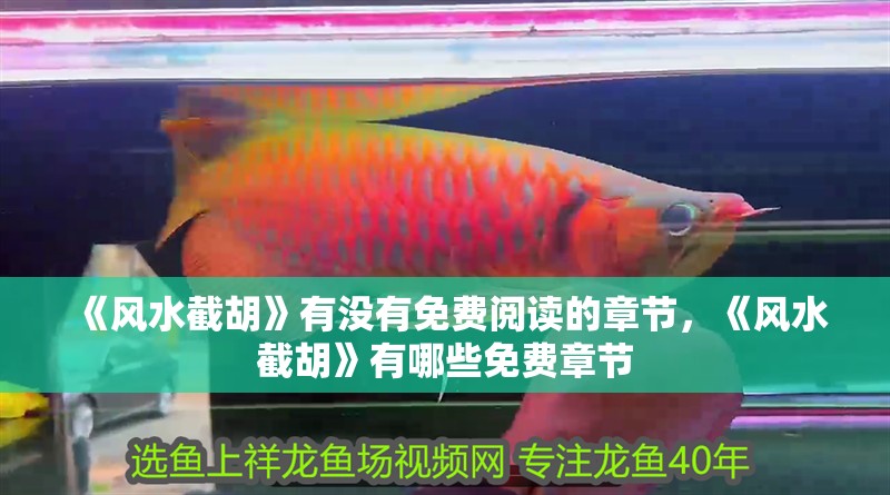 《風(fēng)水截胡》有沒(méi)有免費(fèi)閱讀的章節(jié)，《風(fēng)水截胡》有哪些免費(fèi)章節(jié)