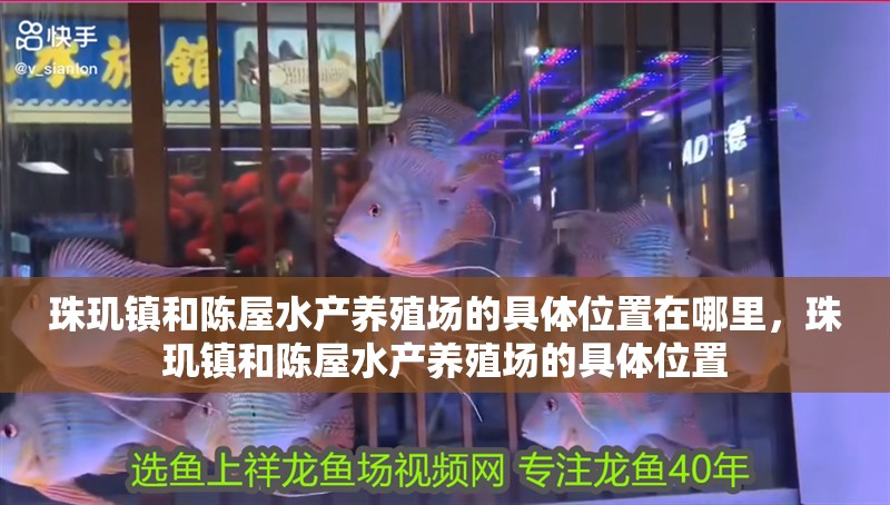 珠璣鎮和陳屋水產養殖場的具體位置在哪里，珠璣鎮和陳屋水產養殖場的具體位置