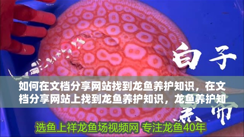 如何在文檔分享網站找到龍魚養護知識，在文檔分享網站上找到龍魚養護知識，龍魚養護知識