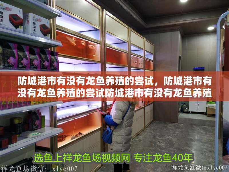 防城港市有沒(méi)有龍魚(yú)養(yǎng)殖的嘗試，防城港市有沒(méi)有龍魚(yú)養(yǎng)殖的嘗試防城港市有沒(méi)有龍魚(yú)養(yǎng)殖的嘗試