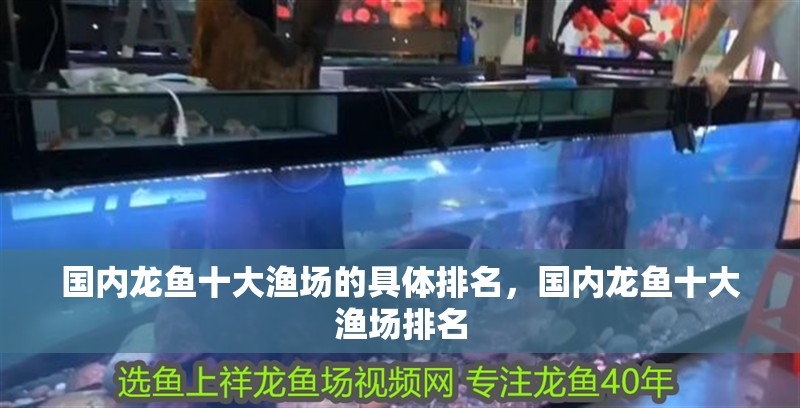 國(guó)內(nèi)龍魚十大漁場(chǎng)的具體排名，國(guó)內(nèi)龍魚十大漁場(chǎng)排名