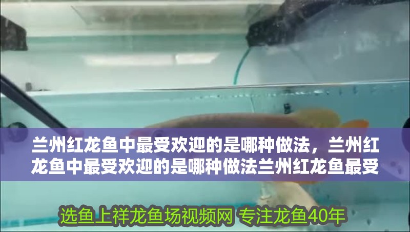 蘭州紅龍魚中最受歡迎的是哪種做法，蘭州紅龍魚中最受歡迎的是哪種做法蘭州紅龍魚最受歡迎