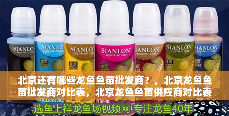 北京還有哪些龍魚魚苗批發商？，北京龍魚魚苗批發商對比表，北京龍魚魚苗供應商對比表