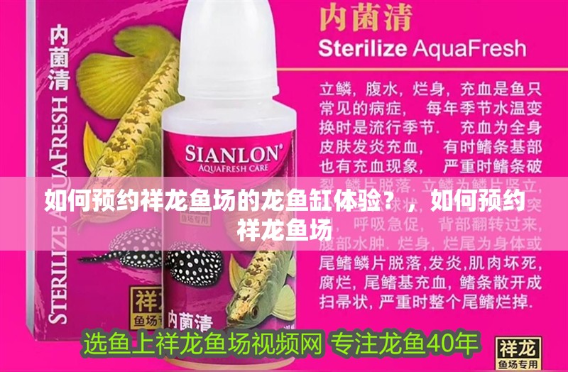如何預約祥龍魚場的龍魚缸體驗？，如何預約祥龍魚場