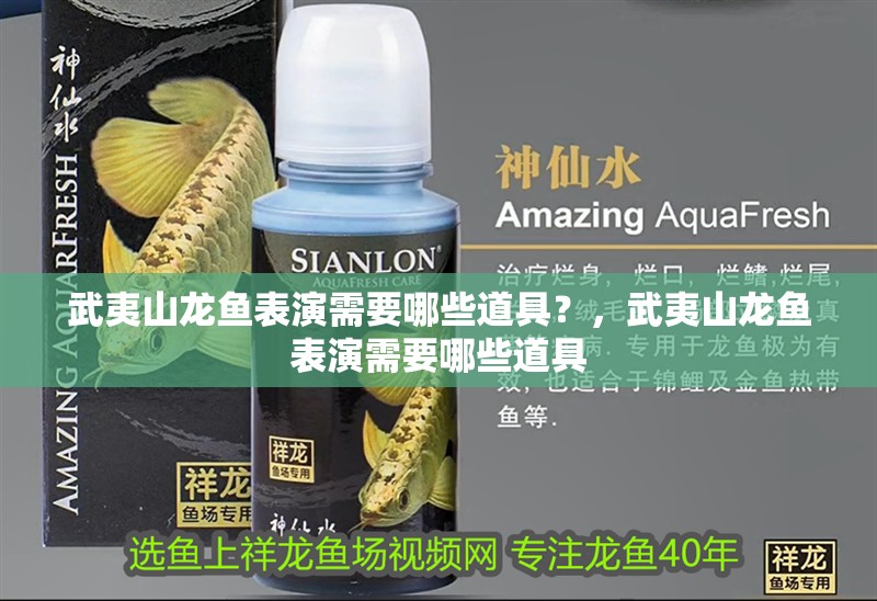 武夷山龍魚表演需要哪些道具？，武夷山龍魚表演需要哪些道具