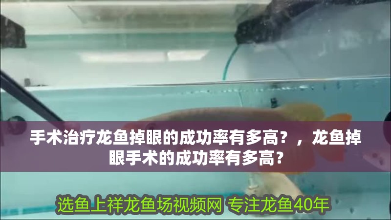 手術治療龍魚掉眼的成功率有多高？，龍魚掉眼手術的成功率有多高？