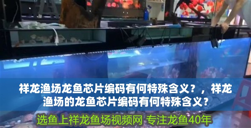 祥龍漁場龍魚芯片編碼有何特殊含義？，祥龍漁場的龍魚芯片編碼有何特殊含義？