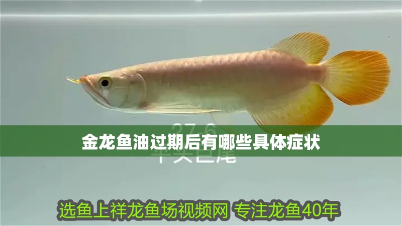 金龍魚油過期后有哪些具體癥狀