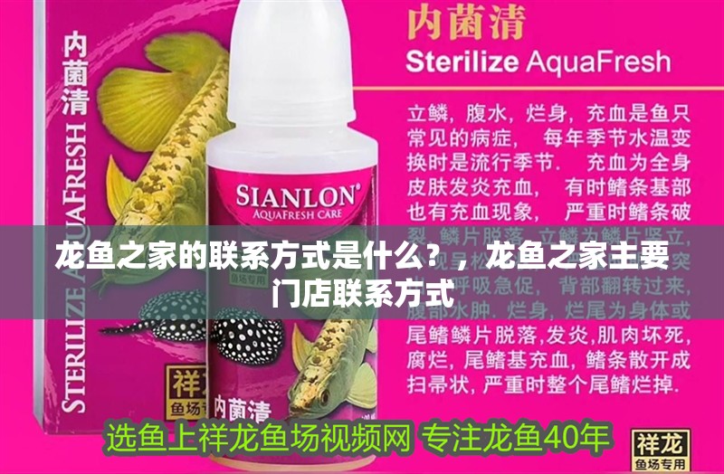 龍魚之家的聯系方式是什么？，龍魚之家主要門店聯系方式