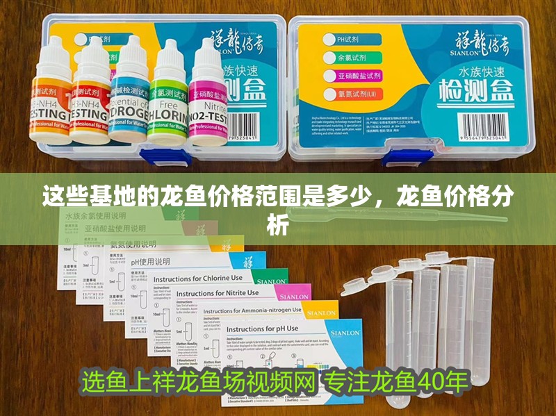 這些基地的龍魚價格范圍是多少，龍魚價格分析