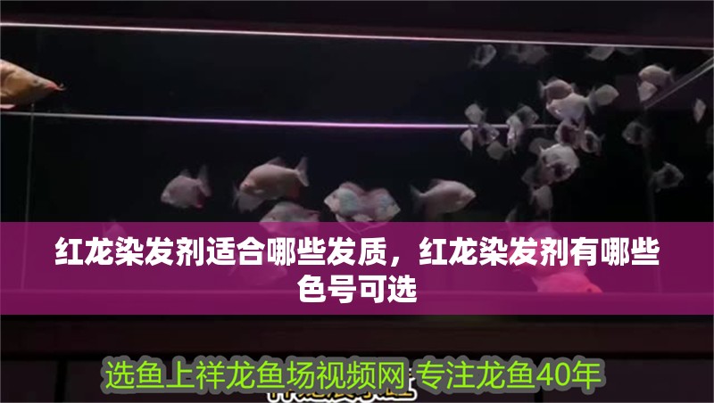 紅龍染發劑適合哪些發質，紅龍染發劑有哪些色號可選