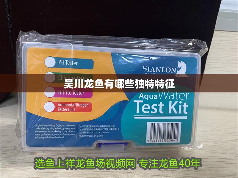 吳川龍魚有哪些獨(dú)特特征