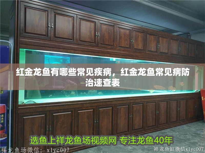 紅金龍魚有哪些常見疾病，紅金龍魚常見病防治速查表