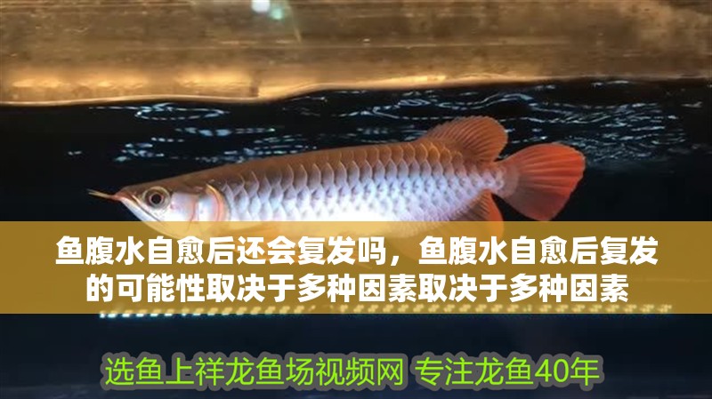 魚腹水自愈后還會復發嗎，魚腹水自愈后復發的可能性取決于多種因素取決于多種因素