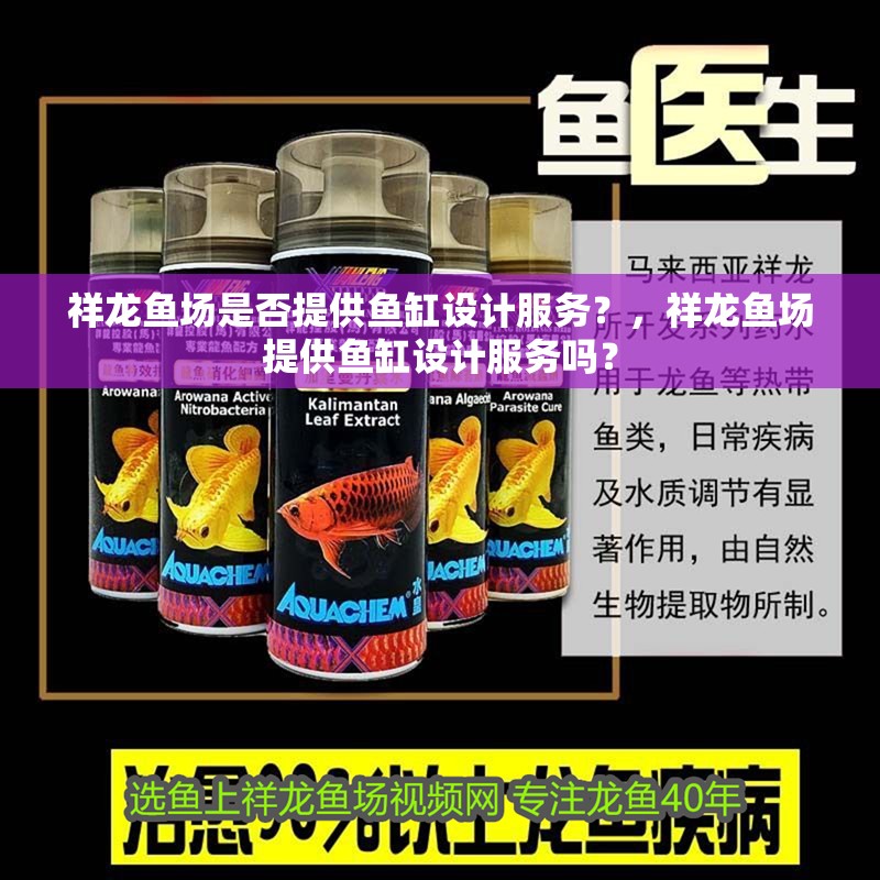 祥龍魚場是否提供魚缸設計服務？，祥龍魚場提供魚缸設計服務嗎？