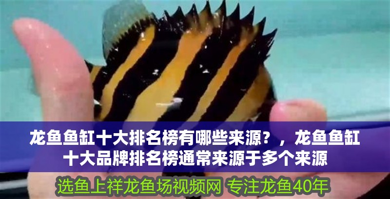 龍魚魚缸十大排名榜有哪些來源？，龍魚魚缸十大品牌排名榜通常來源于多個來源