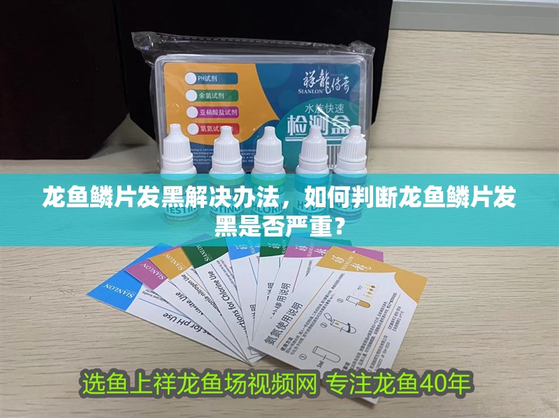 龍魚鱗片發黑解決辦法，如何判斷龍魚鱗片發黑是否嚴重？