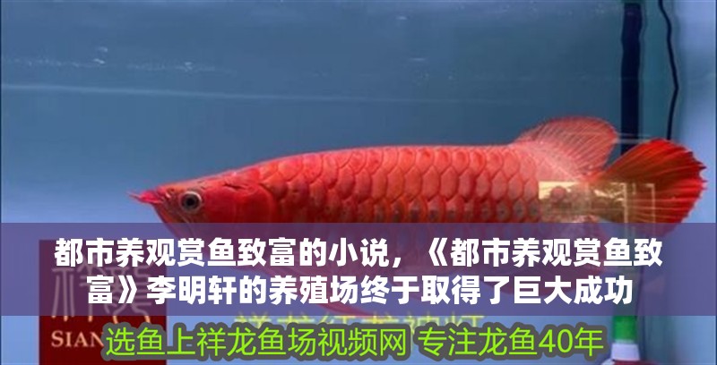 都市養觀賞魚致富的小說，《都市養觀賞魚致富》李明軒的養殖場終于取得了巨大成功
