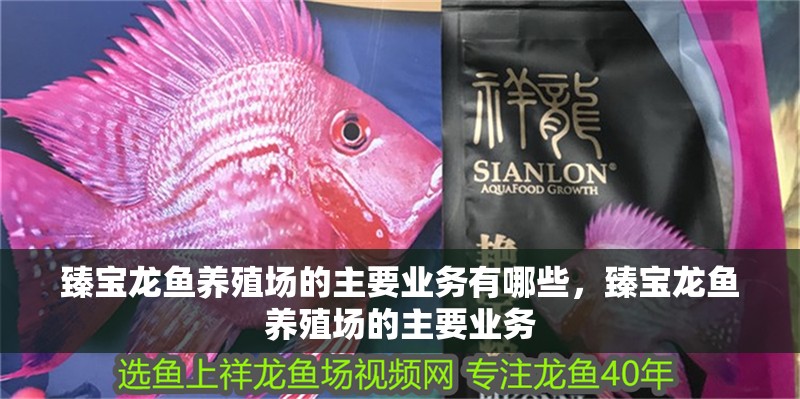 臻寶龍魚養殖場的主要業務有哪些，臻寶龍魚養殖場的主要業務