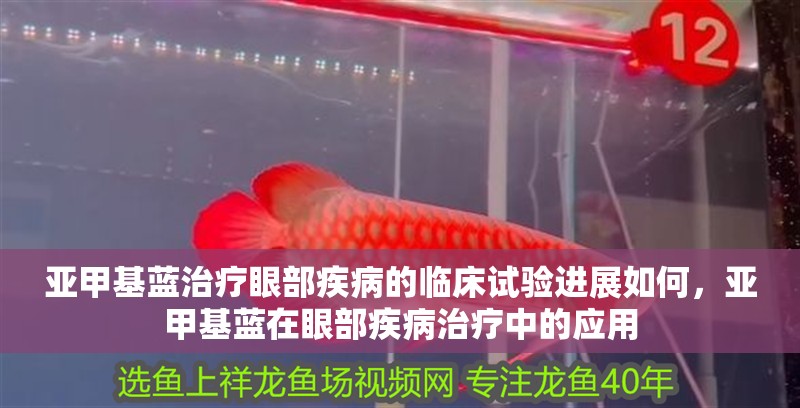 亞甲基藍治療眼部疾病的臨床試驗進展如何，亞甲基藍在眼部疾病治療中的應用