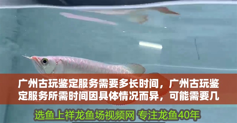 廣州古玩鑒定服務(wù)需要多長時(shí)間，廣州古玩鑒定服務(wù)所需時(shí)間因具體情況而異，可能需要幾分鐘到半小時(shí)