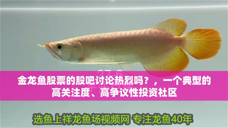 金龍魚股票的股吧討論熱烈嗎？，一個典型的高關注度、高爭議性投資社區