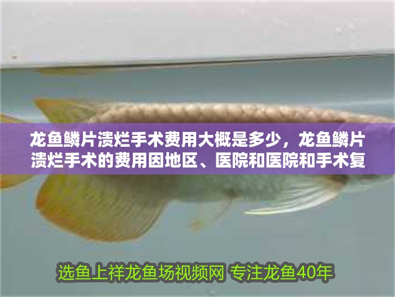龍魚鱗片潰爛手術(shù)費(fèi)用大概是多少，龍魚鱗片潰爛手術(shù)的費(fèi)用因地區(qū)、醫(yī)院和醫(yī)院和手術(shù)復(fù)雜程度而異