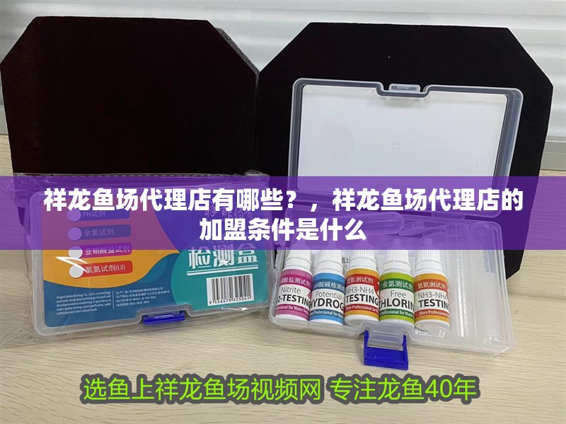 祥龍魚場代理店有哪些？，祥龍魚場代理店的加盟條件是什么