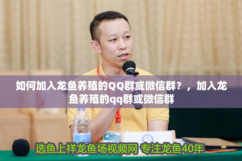 如何加入龍魚養殖的QQ群或微信群？，加入龍魚養殖的qq群或微信群