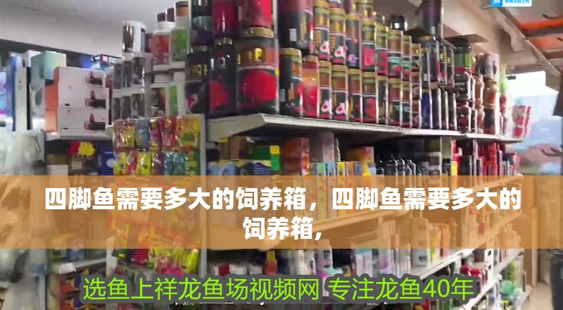 四腳魚需要多大的飼養箱，四腳魚需要多大的飼養箱,