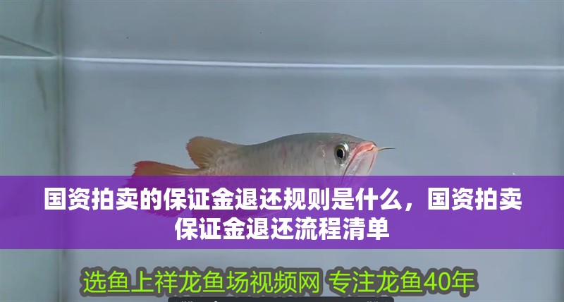 國資拍賣的保證金退還規則是什么，國資拍賣保證金退還流程清單