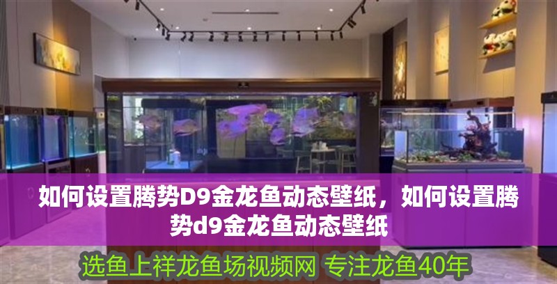 如何設置騰勢D9金龍魚動態壁紙，如何設置騰勢d9金龍魚動態壁紙