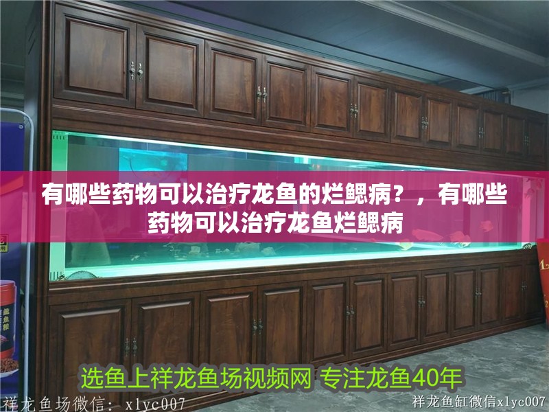 有哪些藥物可以治療龍魚的爛鰓??？，有哪些藥物可以治療龍魚爛鰓病