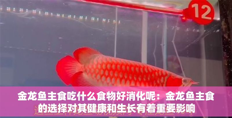 金龍魚主食吃什么食物好消化呢:金龍魚主食的選擇對其健康和生長有著重要影響 龍魚百科 第2張 金龍魚主食吃什么食物好消化呢:金龍魚主食的選擇對其健康和生長有著重要影響 金龍魚主食吃什么食物好消化呢:金龍魚主食的選擇對其健康和生長有著重要影響 龍魚百科 第2張